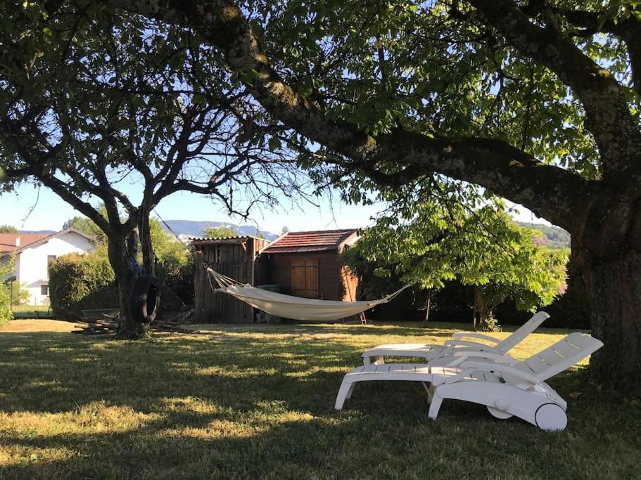 Comme Chez Mamie, Maison Entiere 1-6 Personnes Alby-sur-Cheran Εξωτερικό φωτογραφία
